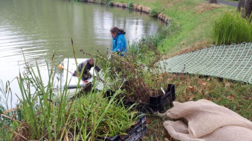 2019-08-13 00:00:00 - Vestingwater krijgt plantenmatten in Ieper