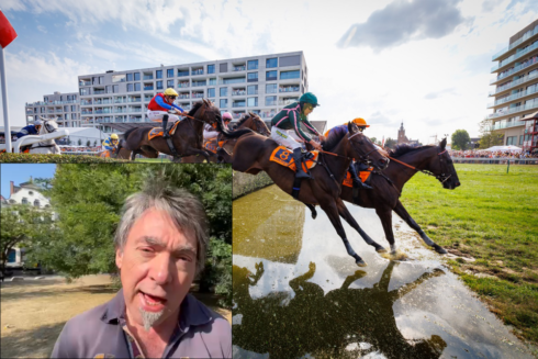 2022-08-31 00:00:00 - VIDEO: "Ik ben er ziek van. Nog altijd lopen paarden daar het risico om te sterven" - Michel Vandenbosch (GAIA) na fatale val paard op Waregem Koerse