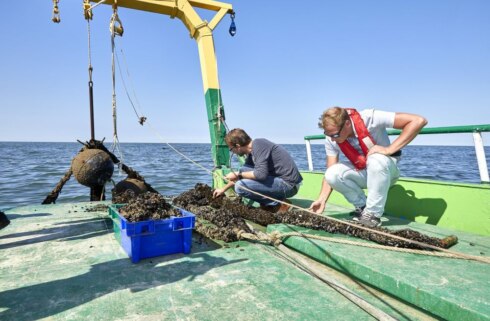 2020-12-10 00:00:00 - Colruyt heeft nodige vergunningen voor zeeboerderij