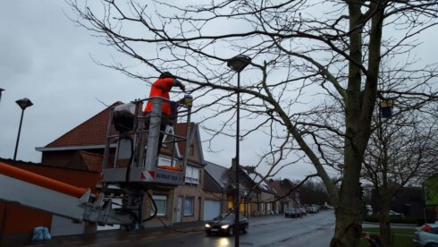 2020-12-21 00:00:00 - Nestkastjes verbinden inwoners van Beveren-Roeselare