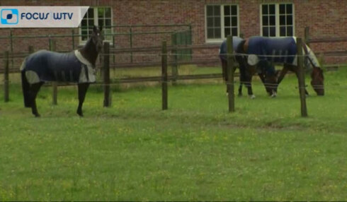 2018-02-07 00:00:00 - Notaris in de cel voor verkrachting