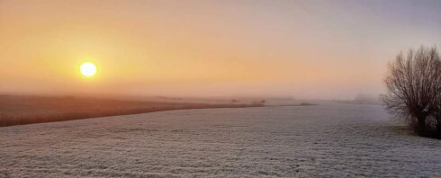 2023-02-07 00:00:00 - Ochtendstond met gouden randje: zo mooi ontwaken in West-Vlaanderen