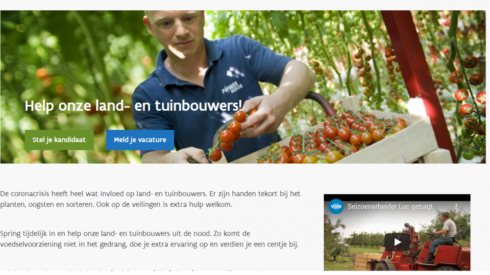 2020-04-14 00:00:00 - Website moet land- en tuinbouw aan voldoende seizoensarbeiders helpen