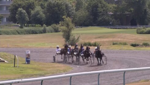 2022-07-04 00:00:00 - Oostende Koerse terug, en wereldwijd op tv