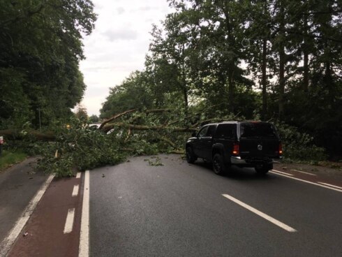 2018-08-11 00:00:00 - Neervallende boom verplettert bijna wagen