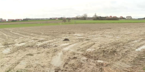 2020-02-21 00:00:00 - Meer groen in plaats van beton