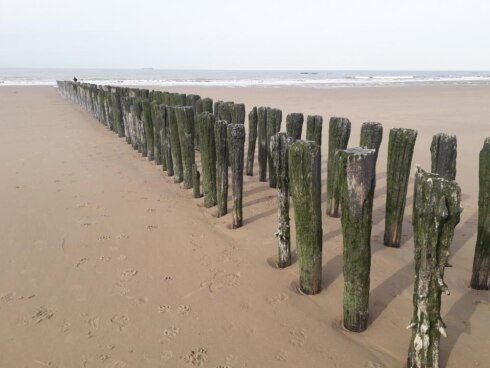2023-03-24 00:00:00 - Iconische paaltjes in Knokke-Heist mogen (nog even) blijven