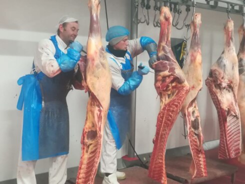2018-07-04 00:00:00 - Rekkems bedrijf importeert besmet paardenvlees