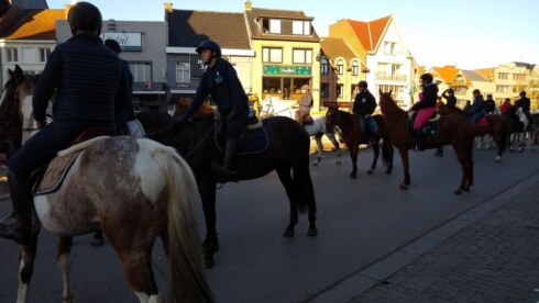 2021-10-24 00:00:00 - Torhout wijdt ruim honderd paarden & ruiters