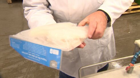 2017-01-24 00:00:00 - Vishandelaars blij met stopzetting pangasiusverkoop