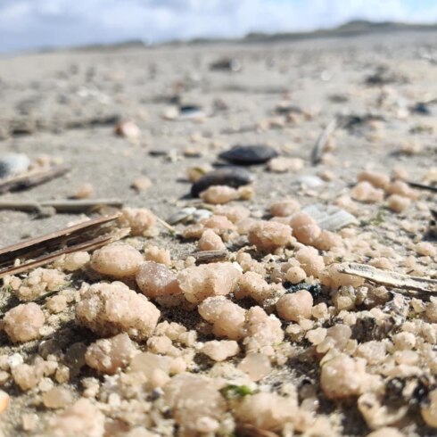 2021-04-08 00:00:00 - "Raak geen aangespoelde paraffine aan op het strand"