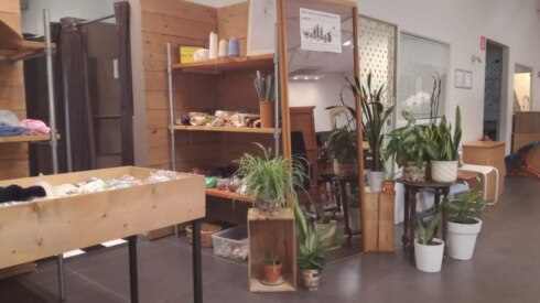 2018-11-08 00:00:00 - Kringwinkels geven dorre planten tweede leven