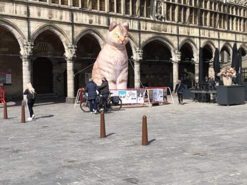 2021-04-30 00:00:00 - 'Poes' ontrafelt de mysterieuze relatie tussen mens en kat