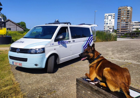2023-06-27 00:00:00 - Politiehond Storm week buiten strijd na slagen en schoppen tijdens interventie