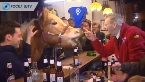 2019-02-04 00:00:00 - Retro: Pony op café in Kooigem