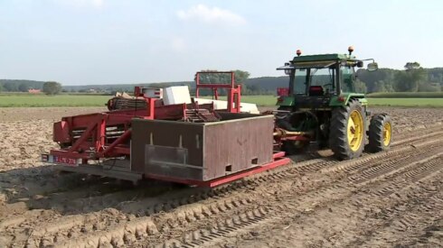2016-11-29 00:00:00 - Aardappelboeren bekroond met Potato Award