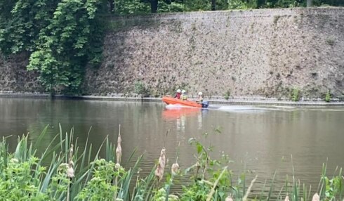 2020-07-02 00:00:00 - Brandweer redt kat in nood in Ieper