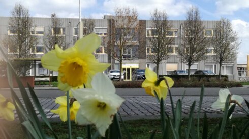 2018-04-10 00:00:00 - Waarom geen stemhokjes in rusthuizen?