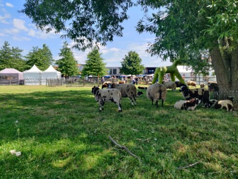 2022-06-04 00:00:00 - Kunstenaarsdorp schone schaapjes brengt eerbetoon aan Brichard