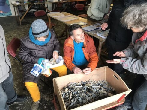 2019-03-16 00:00:00 - Help de wetenschap en tel schelpen