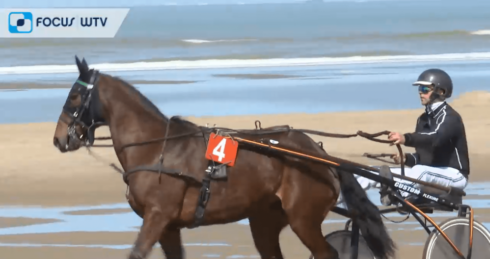 2022-04-10 00:00:00 - Paardenrennen op strand De Haan: "We willen hippodroom naar grote publiek brengen"