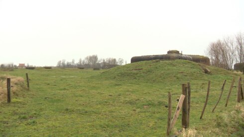 2018-01-24 00:00:00 - Natuur in Schuddebeurze wordt hersteld