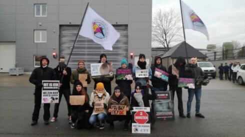 2019-02-05 00:00:00 - Actievoerders aan slachthuis Torhout