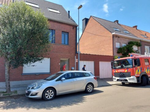 2022-06-22 00:00:00 - Brandweer speurt naar twee ontsnapte slangen in Harelbeke