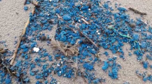 2019-01-03 00:00:00 - Blauwe klodders spoelen op strand aan