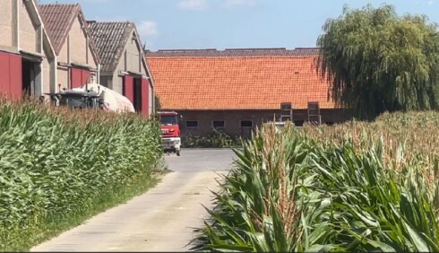 2023-08-23 00:00:00 - Meer dan 100 varkens overleven stalbrand niet
