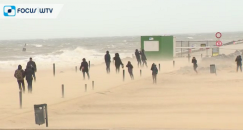 2016-11-20 00:00:00 - Storm schrikt strandwandelaars niet af