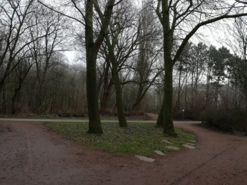 2017-01-23 00:00:00 - Strooiweide voor dieren in 't Bosje
