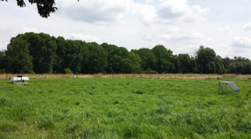 2016-07-06 00:00:00 - Heule krijgt een Tinekesbos van twee hectare