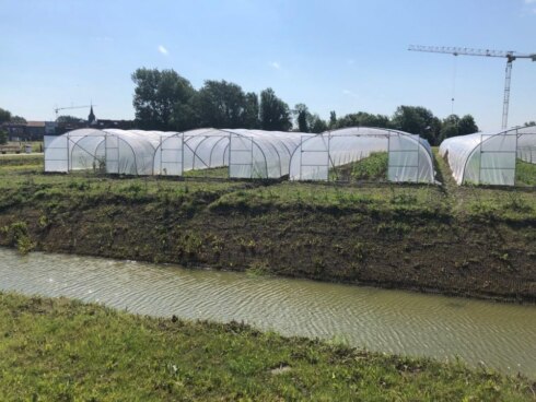 2019-06-14 00:00:00 - Stadslandbouw en biodiversiteit in Tuinen van Stene