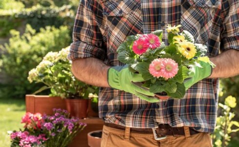 2020-04-09 00:00:00 - Sierteelt- en groenfederatie wil alle tuincentra open