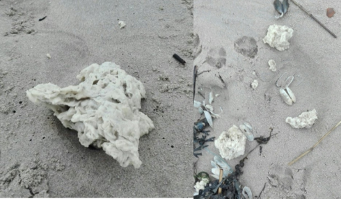2019-01-07 00:00:00 - Paraffine aangespoeld aan onze kust