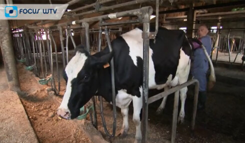 2019-04-24 00:00:00 - Rundveesector en appel- & perenteelt officieel in crisis