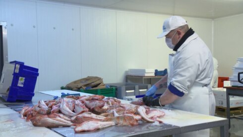 2020-03-30 00:00:00 - Visserij toont hart en schenkt vis aan ziekenhuis