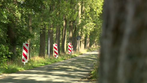 2016-08-22 00:00:00 - Populieren moeten wijken voor landschapsherstel