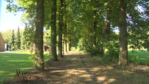 2016-10-05 00:00:00 - Natuurloopparcours in Vagevuurbos Wingene