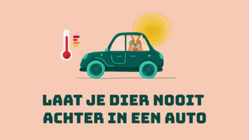 2022-07-04 00:00:00 - "Laat je dieren niet achter in hete auto": Brugge lanceert campagne