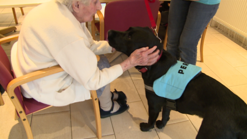 2017-11-29 00:00:00 - Perro verwarmt de harten in woonzorgcentrum