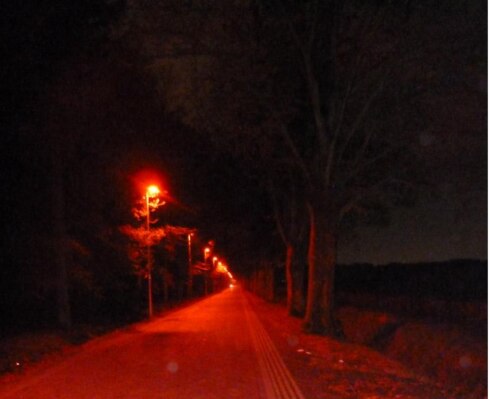 2019-06-11 00:00:00 - Zillebeke krijgt vleermuisvriendelijke lampen