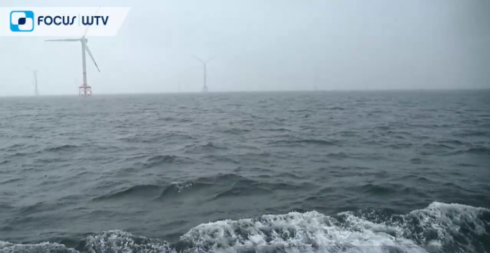 2021-11-06 00:00:00 - VLIZ Oostende wil betere bescherming van zeeën en oceanen