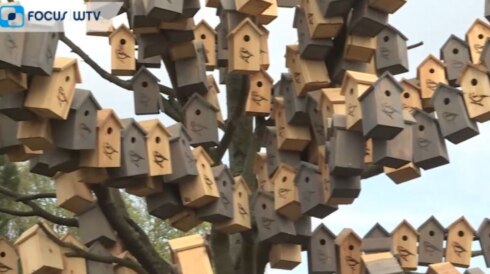 2021-04-14 00:00:00 - Bizarre vogelkastjes te kijk in oude eikenboom