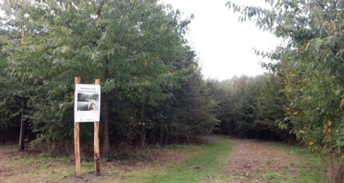 2016-10-20 00:00:00 - Kinderen openen Vredesbos in Ieper