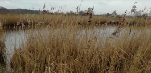 2020-01-27 00:00:00 - Grondwater staat op normaal peil