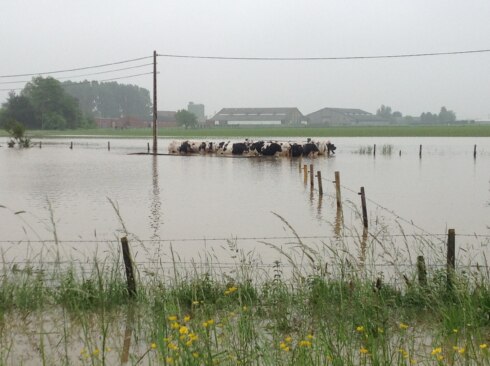 2018-03-24 00:00:00 - Bufferbekken tegen wateroverlast in Voormezele