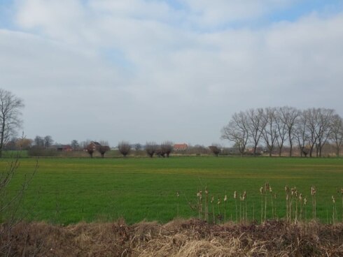 2023-02-21 00:00:00 - Vandaag droog met opklaringen