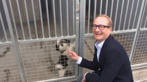 2017-10-01 00:00:00 - Dierenasiel Koksijde ontwikkelt asieldierendatabank